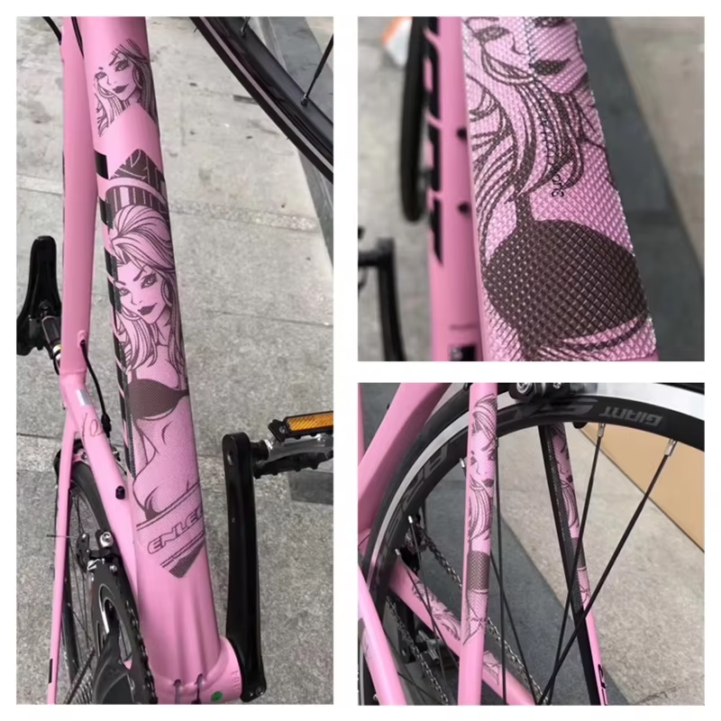 CycleSkin - Sticker protector de Bicicleta